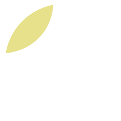 棉花糖 匿名信箱