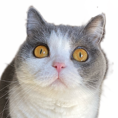 アンソニーの由来