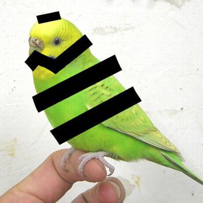 profile icon