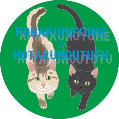 らいちむ脳内イメージのイラスト専用