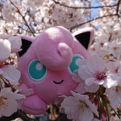 主にジャニーズ垢