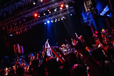 END ALLbeerpatrolTV📺