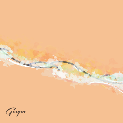 Ginger