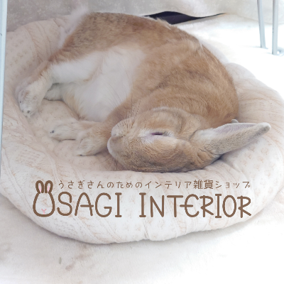 うさぎさんのためのインテリア雑貨ショップ lit.link(リットリンク)