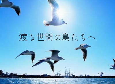 6th Single「渡る世間の鳥たちへ」
