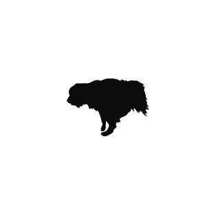 profile icon