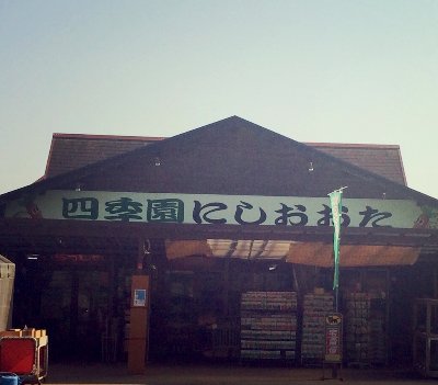 🍓 | 世羅町 | 四季園にしおおた