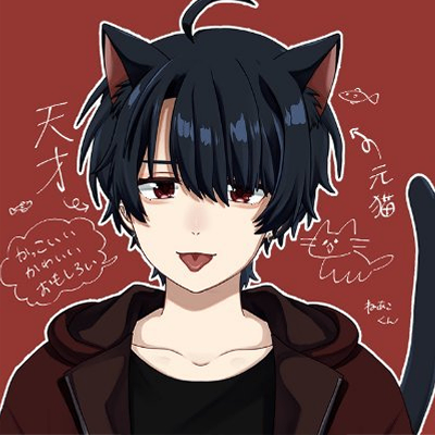 ねあこくん