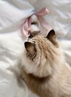 ✲駅チカ