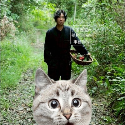 山下智道の植物学講座【facebookページ】