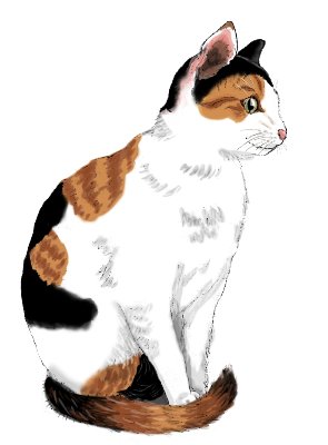三毛猫が紡ぐ　～渡り猫が見た景色～