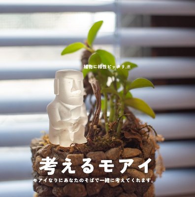 考えるモアイミュージアム