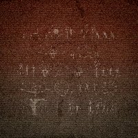 HUMAN HALLUCINATION