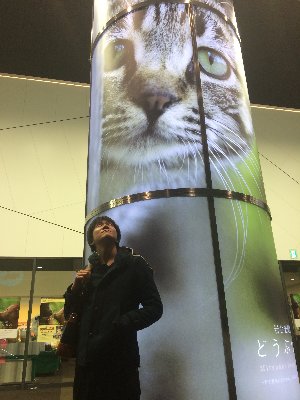 profile icon