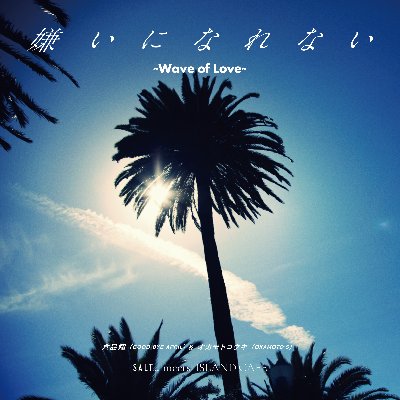 嫌いになれない ~Wave of Love~
