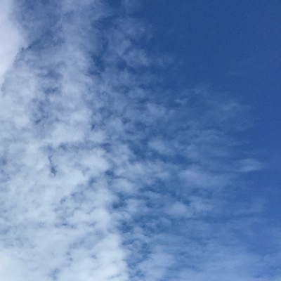 Blue sky🦋（創作BL含）