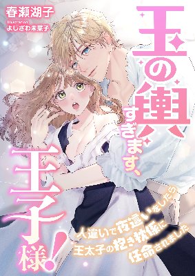 玉の輿過ぎます、王子様！ ～人違いで夜這いをしたら王太子の抱き枕係に任命されました～