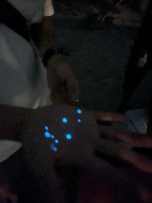 放課後の海ラボ