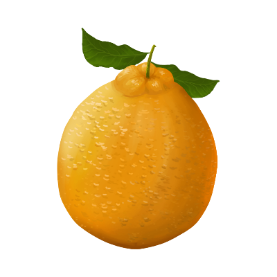 JA長崎せいひ公式ショップ