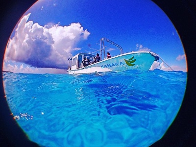 Relax Dive BANANA Web