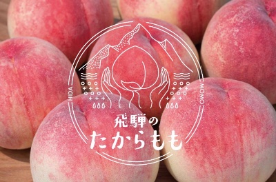 ふるさと納税