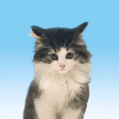 profile icon