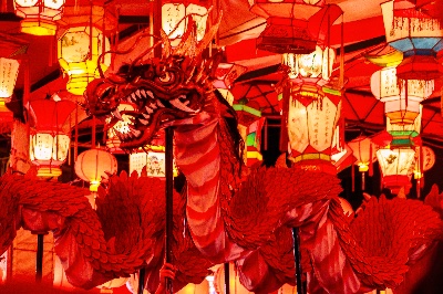 カメラ垢