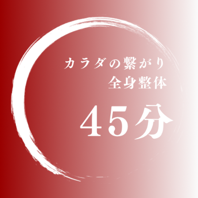 45分全身整体