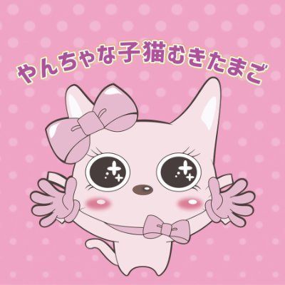 公式X