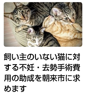 【オンライン署名】飼い主のいない猫に対する不妊・去勢手術費用の助成を朝来市に求めます