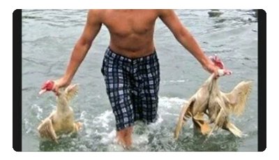 沖縄県糸満市　糸満ハーレーでの【アヒル取り競争】生き物を利用したプログラムの廃止を求めます！ 