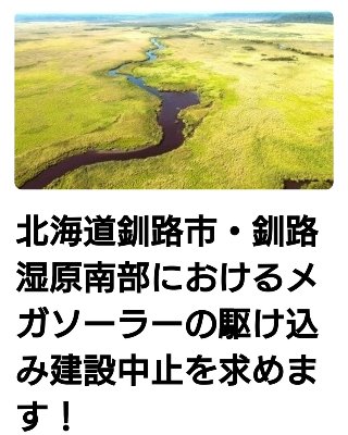 オオジロワシ  北海道釧路市・釧路湿原南部におけるメガソーラーの駆け込み建設中止を求めます！ 