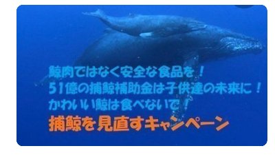 【オンライン署名】鯨肉より安心して食べられる食材を！日本の捕鯨を廃止して、51億の捕鯨助成金を植物性由来の食品関係の補助にあててください。 
