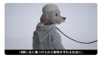 【5万筆を目指されています！】５年に一度！飼い主に傷つけられた動物を守れる社会にするため、虐待された動物の《緊急一時保護》と、虐待した飼い主の《所有権喪失》を求めます