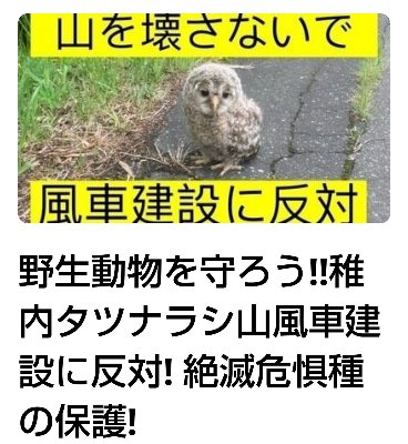 野生動物を守ろう!!稚内タツナラシ山風車建設に反対! 絶滅危惧種の保護! 開始日 2023年12月6日 署名の宛先 International Union for Conservation of Natureと2人の別の宛先  