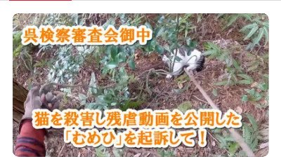 【署名終了】⑥ ※ 署名の締切→４月２４日（水）正午【2024/3 オンライン署名】「ノネコ」と称して猫を殺害した元YouTuberを動物愛護法違反で裁いてください   