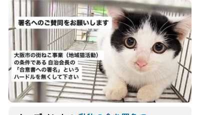 【オンライン署名】①大阪市の街ねこ事業（地域猫活動）の条件である 自治会長の「合意書への署名」というハードルを無くして下さい  