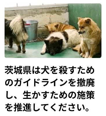 茨城県動物指導センターの収容環境を改善し、譲渡・啓発・ふれあいに特化した動物愛護セン ターの開設を求める請願