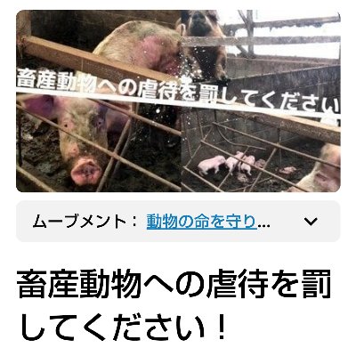 【オンライン署名】“畜産動物への虐待を罰してください！ 2019年、西日本のとある町で人知れず、35頭の豚が飢餓で苦しんでいた。 豚たちは痩せ細り、骨が浮いて見え、毛がボサボサになり、人間が見えると檻に手をかけて2本足で立ち上がり、必死で鳴き叫ぶ。 (署名文より抜粋) 