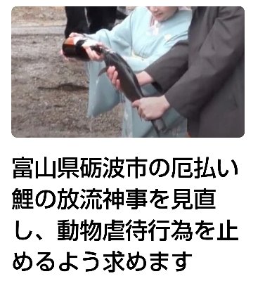 【オンライン署名】富山県砺波市の厄払い鯉の放流神事を見直し、動物虐待行為を止めるよう求めます！