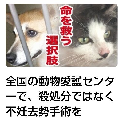 【オンライン署名】全国の動物愛護センターで、殺処分ではなく不妊去勢手術を 