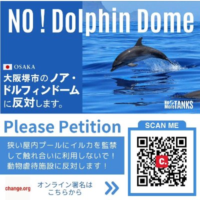 大阪府堺市のノア・ドルフィンドームに反対します！ #堺市ドルフィンドーム反対 #NoDolphinDome 