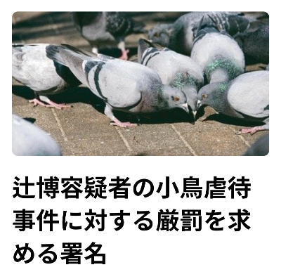【立川検察庁に8614筆のオンライン署名を提出】辻博容疑者の小鳥虐待事件に対する厳罰を求める署名　『多摩川の河川敷で捕獲したハトを自宅に連れ帰り虐待殺害する様子の動画をX（旧Twitter）に投稿していた。 自宅で飼育していた小鳥に対しても複数回にわたり虐待行為を行い殺害している。 （コザクラインコ、キンカチョウ、文鳥、十姉妹、銀鳩、土鳩） 』  