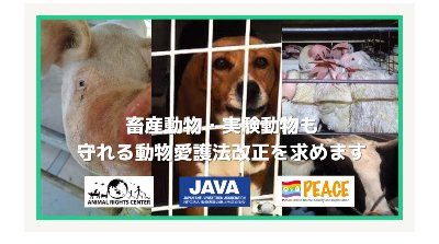 【オンライン署名】畜産動物・実験動物も守れる法改正を求めます 