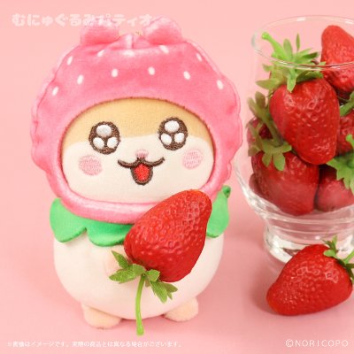 むにゅぐるみパティオ店舗情報