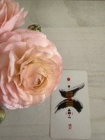 鑑定・レッスン・その他お問い合わせ