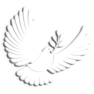 ライブスケジュール