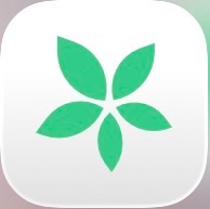 スケジュール