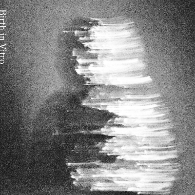 fulusu「Birth in Vitro」