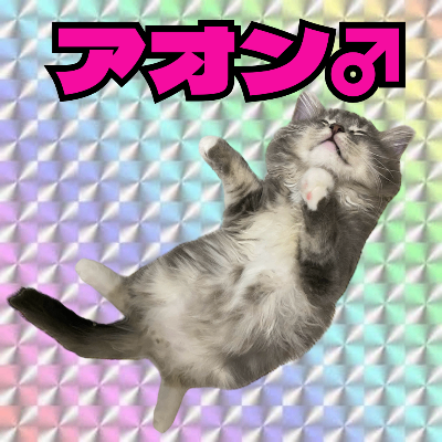 🐈stagram